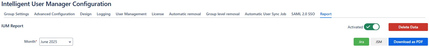 report jira.jpg